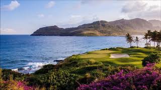 F Goya   Twilight Time