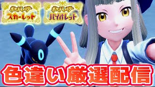 【ポケモンSV】♀最大色違いアチャモが欲しいので厳選します！【生配信】