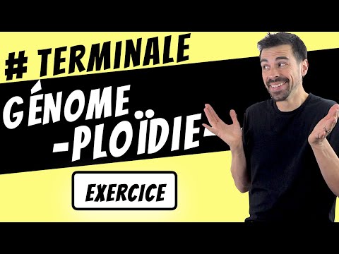 Vidéo: Que signifie ploïdie ?