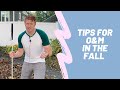 Orientation and Mobility Tips for Traveling in The Fall