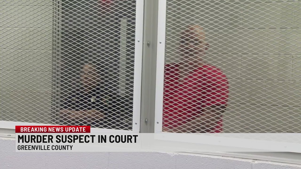 Greenville Co. murder suspect charged with murder of father and son in ...