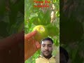 please like subscribe #viralvideo #youtubeshorts