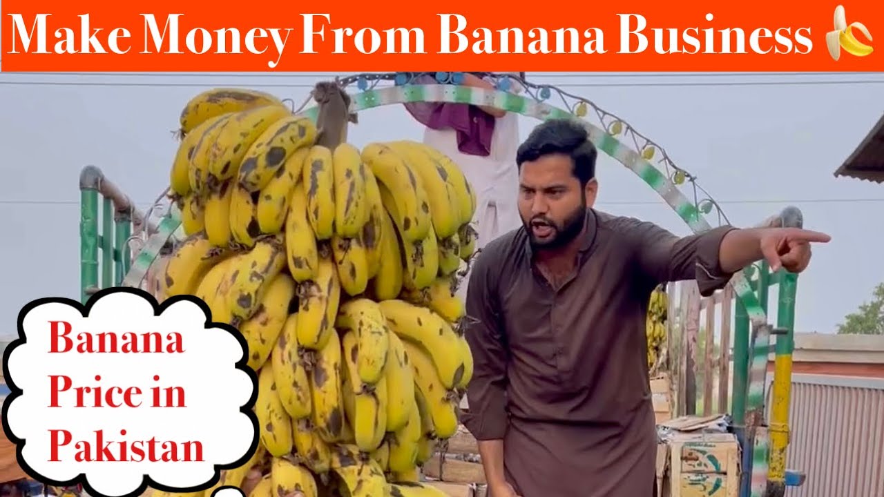 How to make money from Banana Business 