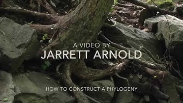 1A Building a phylogeny from traits