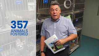 Oakville & Milton Humane Society's 2020 Impact Report by Oakville & Milton Humane Society 178 views 2 years ago 2 minutes, 12 seconds