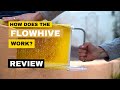 How the FlowHive works #flowhive #beekeeping