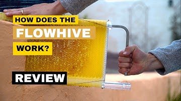 How the FlowHive works #flowhive #beekeeping