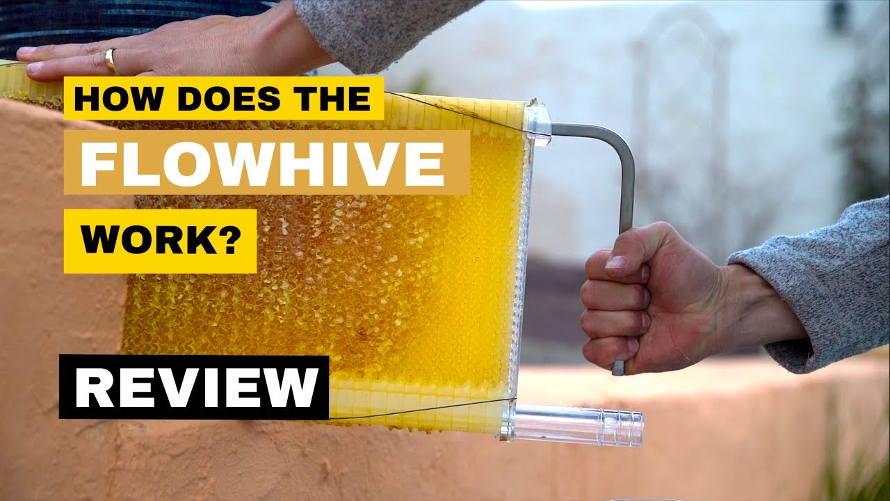 How the FlowHive works 