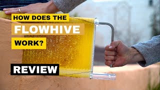 How the FlowHive works #flowhive #beekeeping