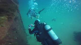 Diving Gibraltar 12 08 2020