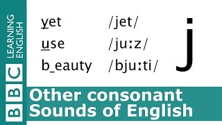 English Pronunciation 👄 Consonant - \/j\/ - 'yet', 'use' and 'beauty'