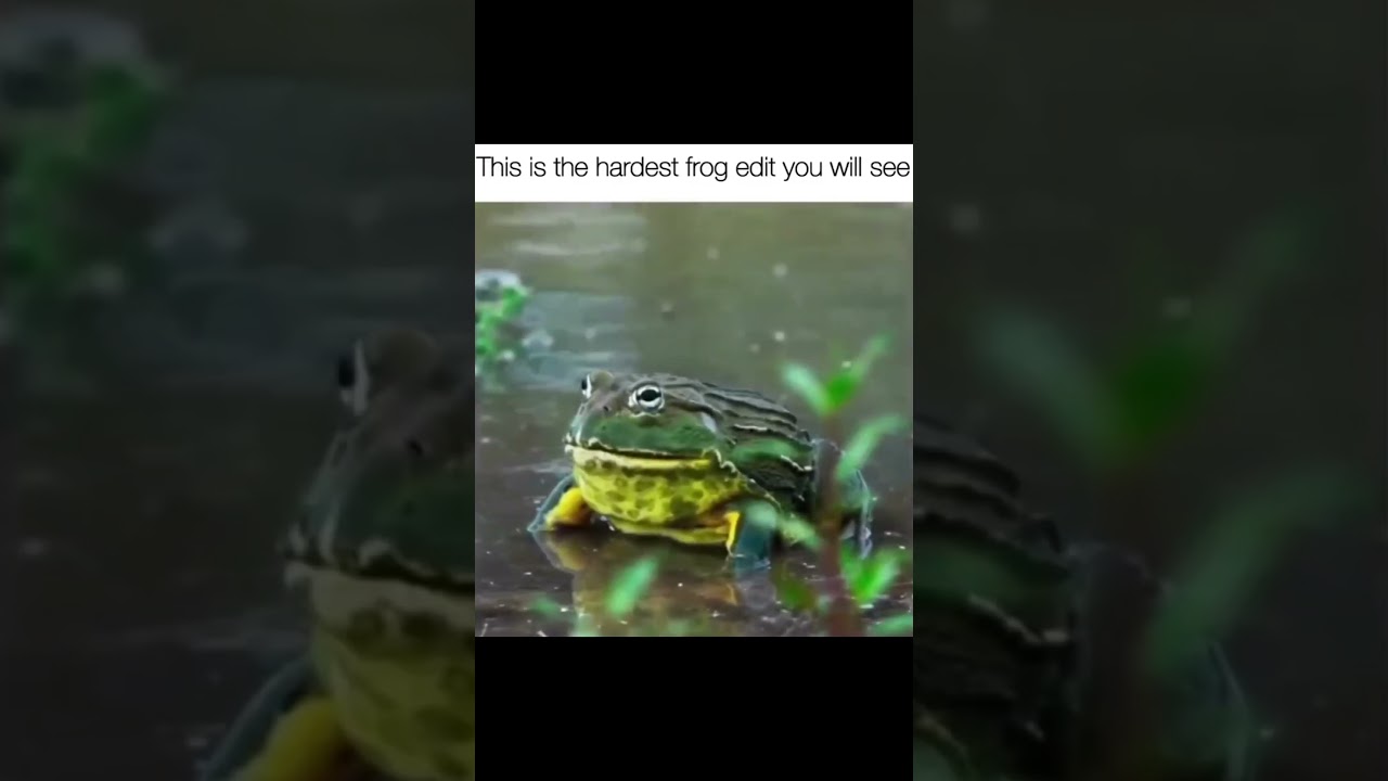 Legendary Frog Edit Meme 🔥 