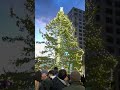 Monument Square Tree Lighting