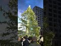 Monument Square Tree Lighting