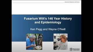 History and epidemiology of Fusarium wilt of banana screenshot 5
