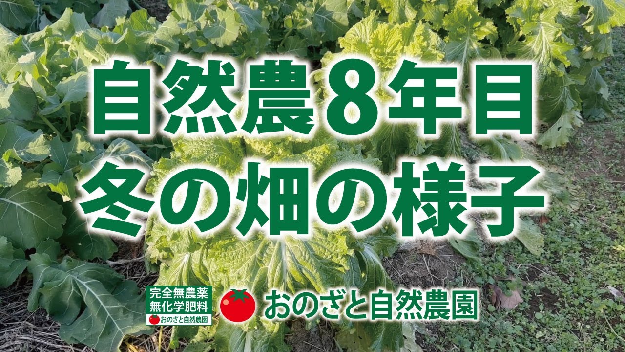 Finally, we will also introduce citrus fruits that are resistant