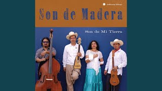 Video thumbnail of "Son de Madera - Las poblanas (The Women from Puebla)"