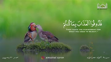 يَوْمَ تَبْيَضُّ وُجُوهٌ وَتَسْوَدُّ وُجُوهٌ ۚ | سورة آل عمران - تميم الريمي