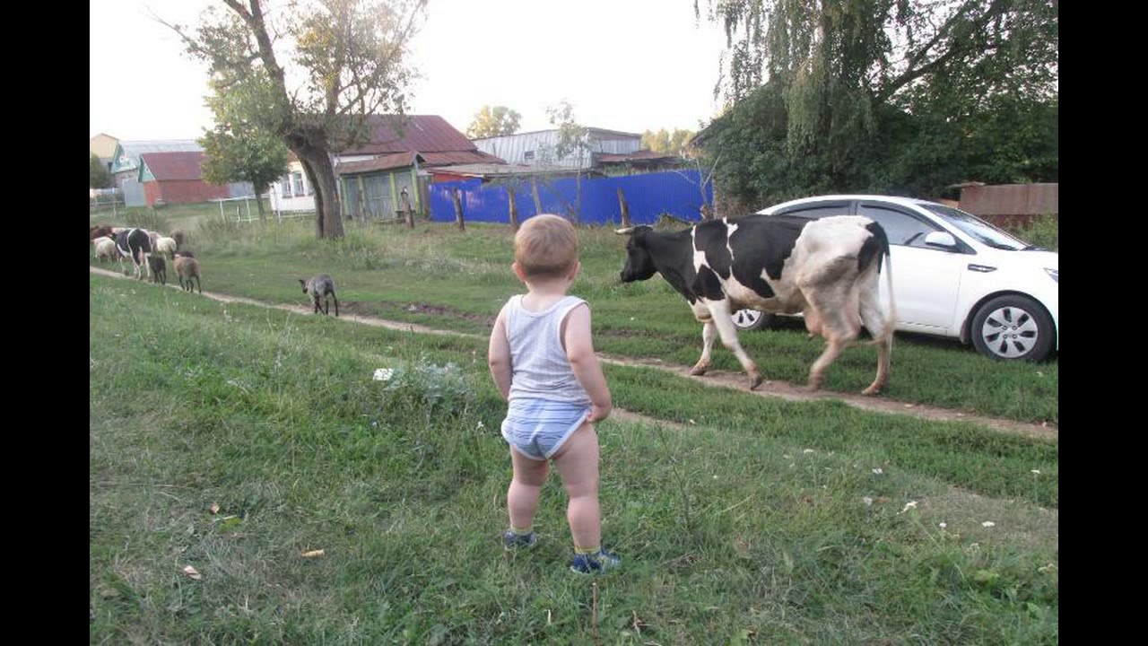 Звуки Вечер В Деревне