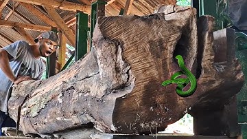 unexpected surprise while sawing old teak log with surprising holes in sawmill