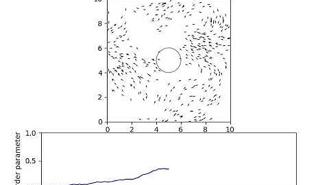 Vicsek model flocking (short)