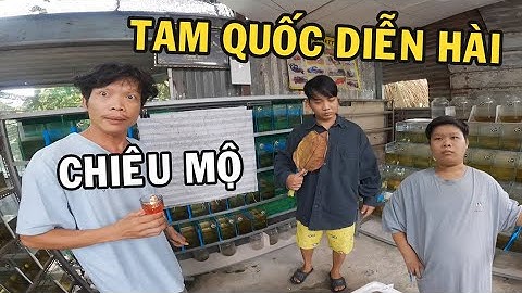 Tâm Quốc Diễn Hài - Ông chủ trại cá Betta chiêu mộ binh sĩ cho dự án mới