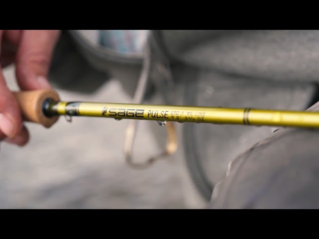 Sage Pulse Fly Rods - On The Water 