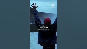 وعسى أن تكرهوا شيئا وهو خير لكم #القرآن_الكريم #quran #قرآن #سورة_البقرة #مشاري_العفاسي #تلاوة_خاشعة