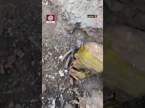 معصوبي الأعين ومقيدي الأيدي العثور على هياكل عظمية لمدنيين في حي كرم الزيتون بمدينة حمص