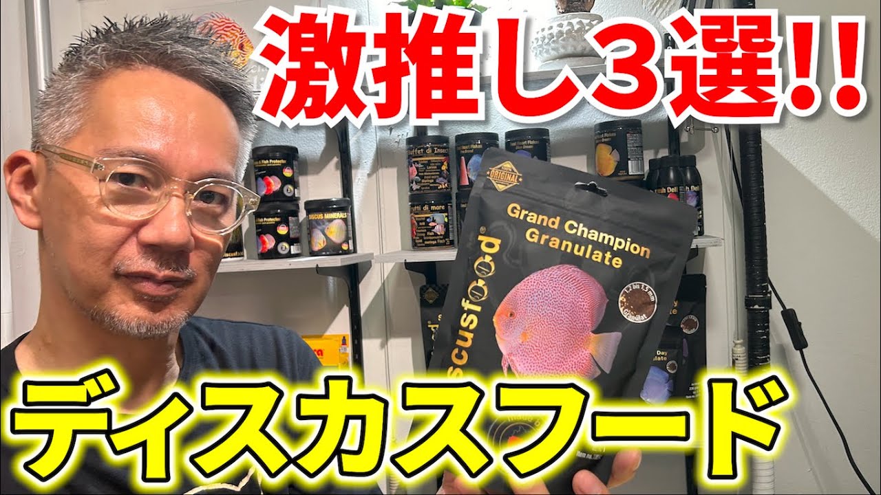 【入荷】ディスカスフードならコレだ！普段使いからサイズアップまで…ディスカスのためのオススメ餌を３種類ご紹介！