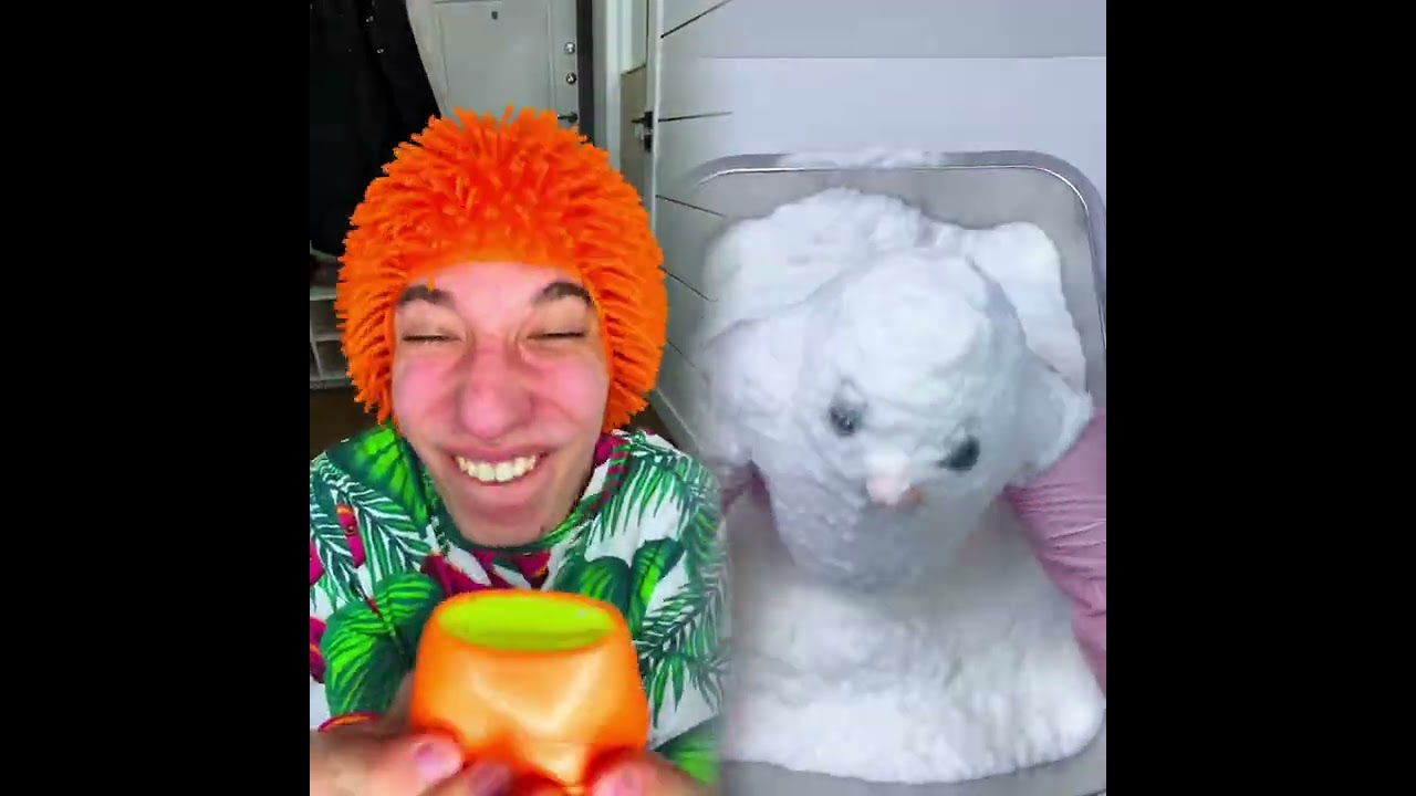 🤣👌👌👌2026pov Must-Watch Crazy Clips Compilation #humor #fypシ #pov #fyp #foryou 😍😜