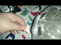 Chungus eats ASMR (NO CLICKBAIT!1!1!1!1!1!)
