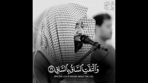 كلا اذا بلغت التراقى ♥آيات مبكيه الشيخ ناصر القطامي♥ حالات واتس اب