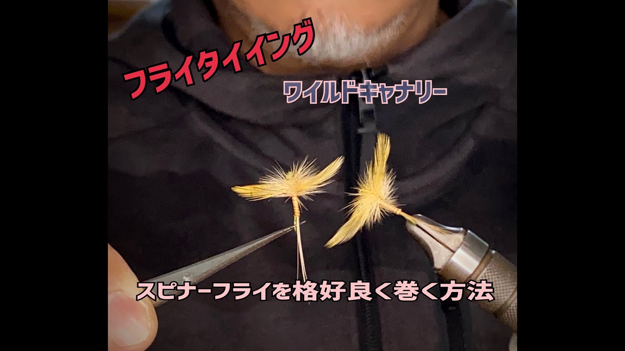 丈夫で格好いいワイルドキャナリーの巻き方