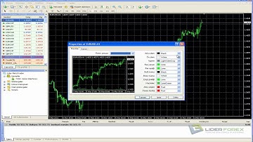 Lider MetaTrader 4 Platform Özellikleri