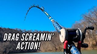 40 Minutes of Monster Catfish Action (Giant Catfish Compilation)