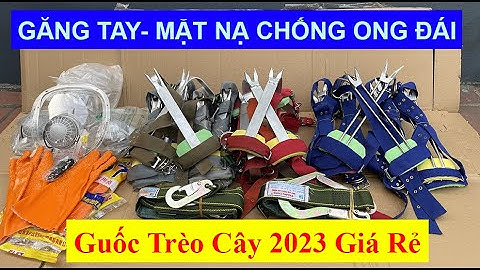 Guốc Trèo Cây Bắt Ong 2023/ Dụng Cụ Trèo Cây 2 Đinh, Dây Đai An Toàn, Mặt Nạ Chống Ong Đái Giá 200K
