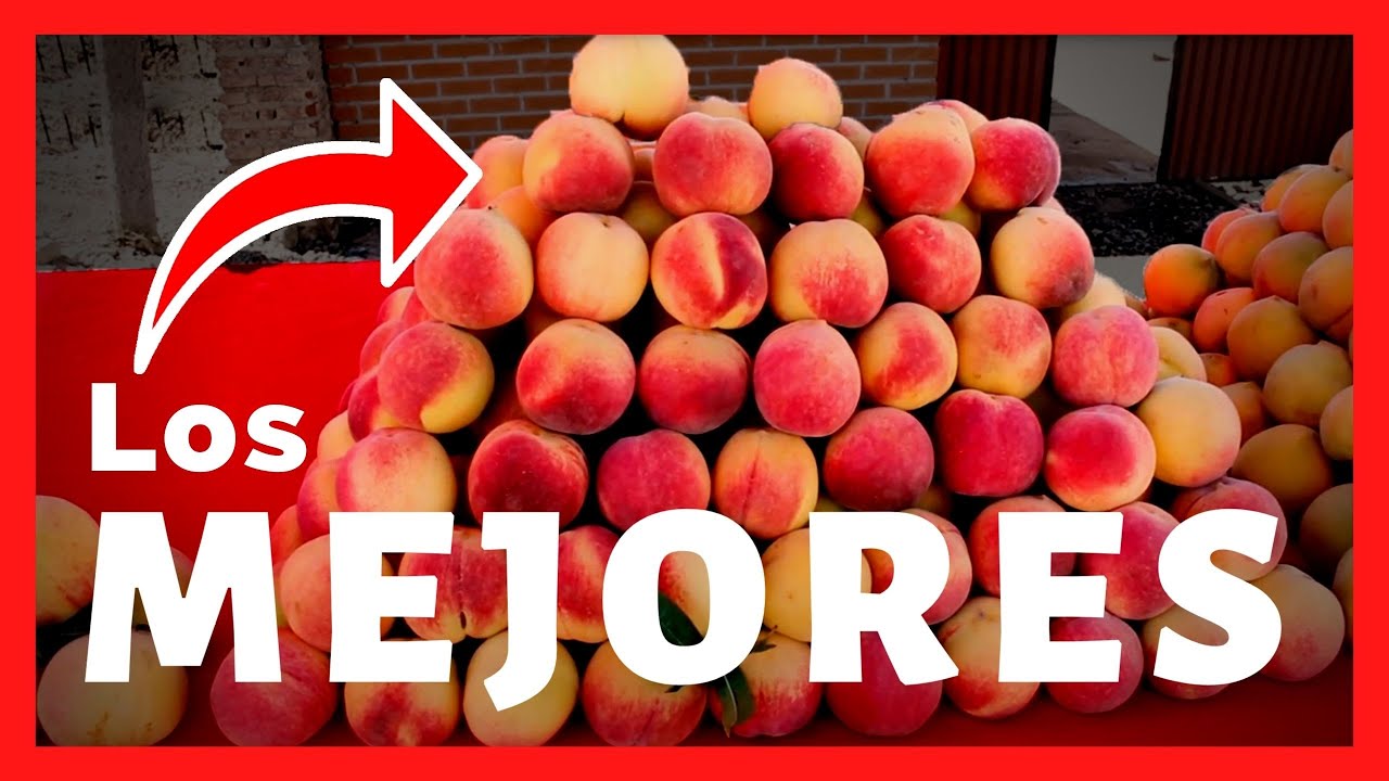 🍑 Entérate por qué SAN BENITO tiene los MEJORES DURAZNOS | #SoyMija