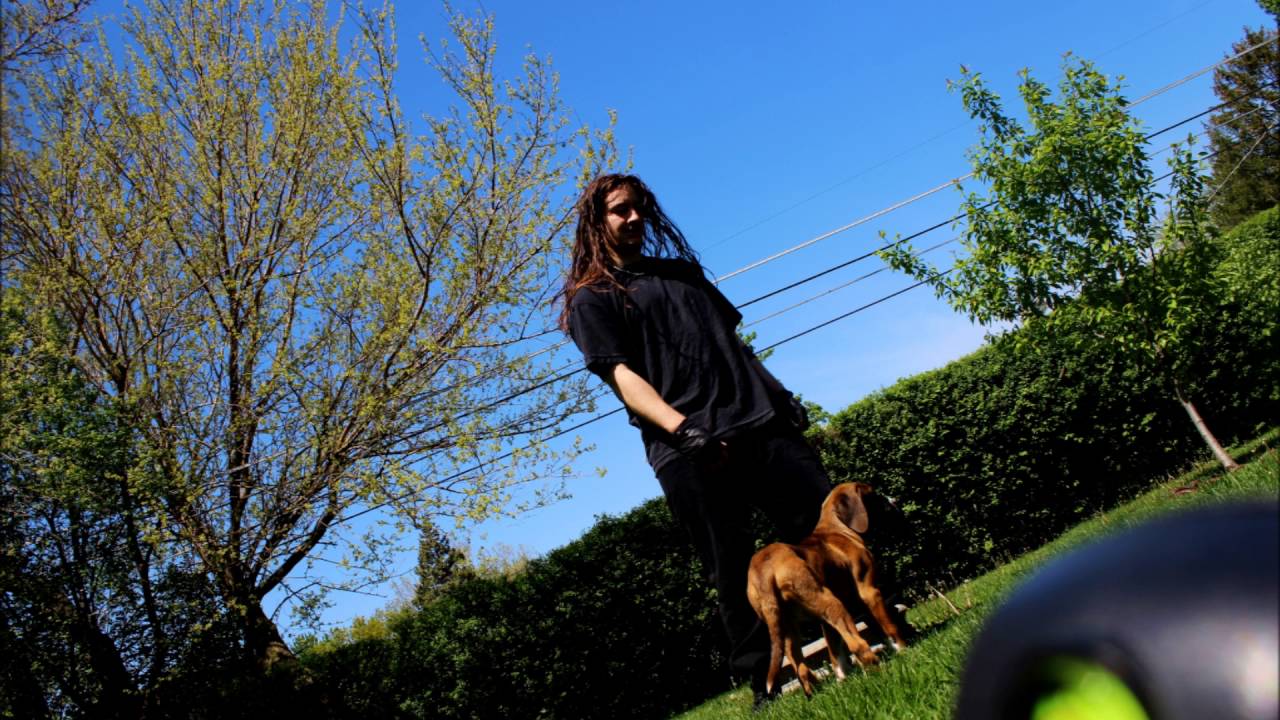 Tony Kainovic - Lucy The Hunting Dog (Heavy Metal Puppy Song)