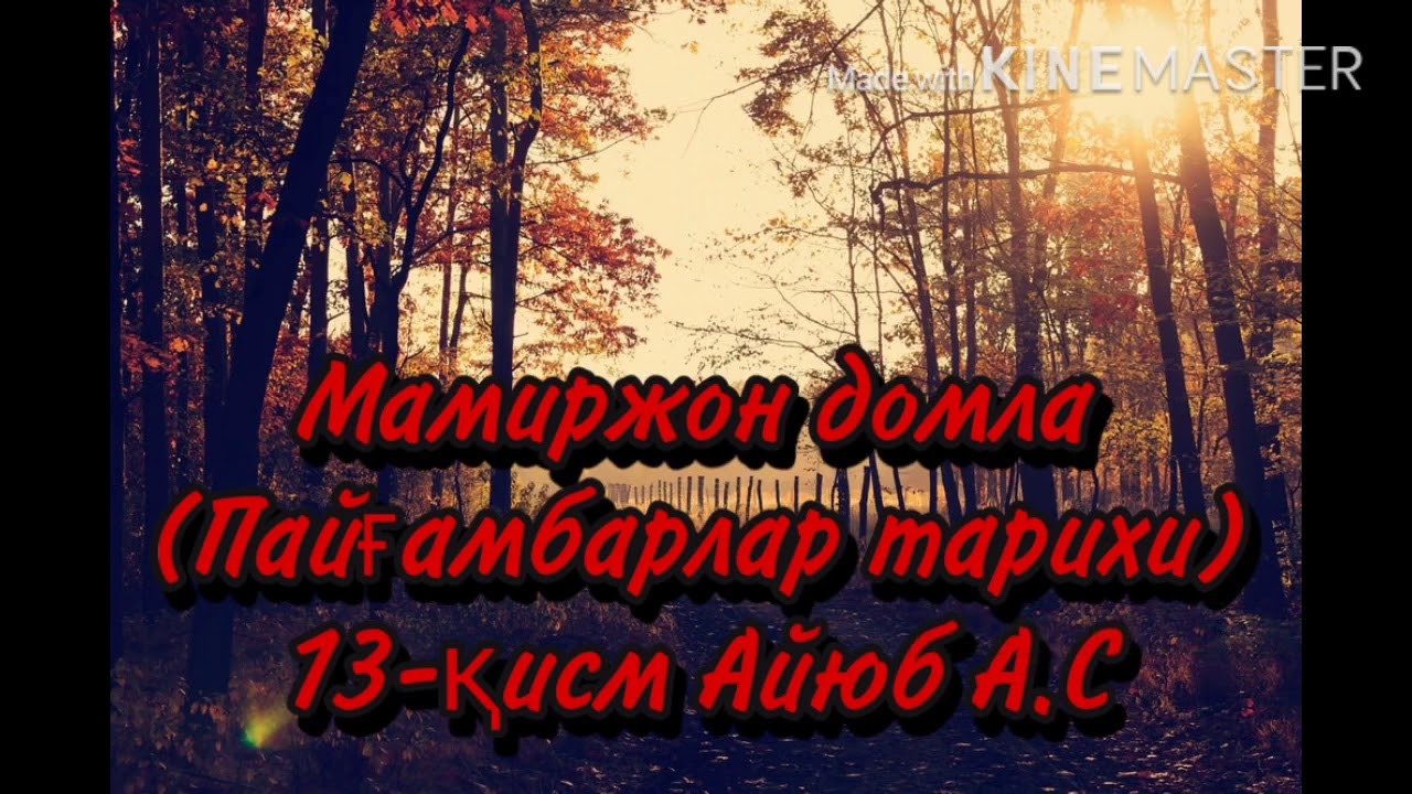 Мамиржон домла (Пайғамбарлар тарихи)13-қисм Айюб А.С
