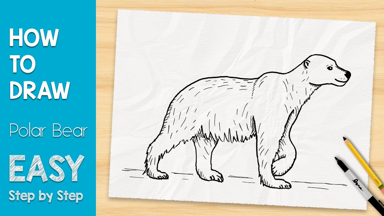 How to Draw a Polar Bear in 5 MINUTES (Easy, Step by Step) - YouTube