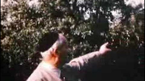 Martin Heidegger At His Freiburg House