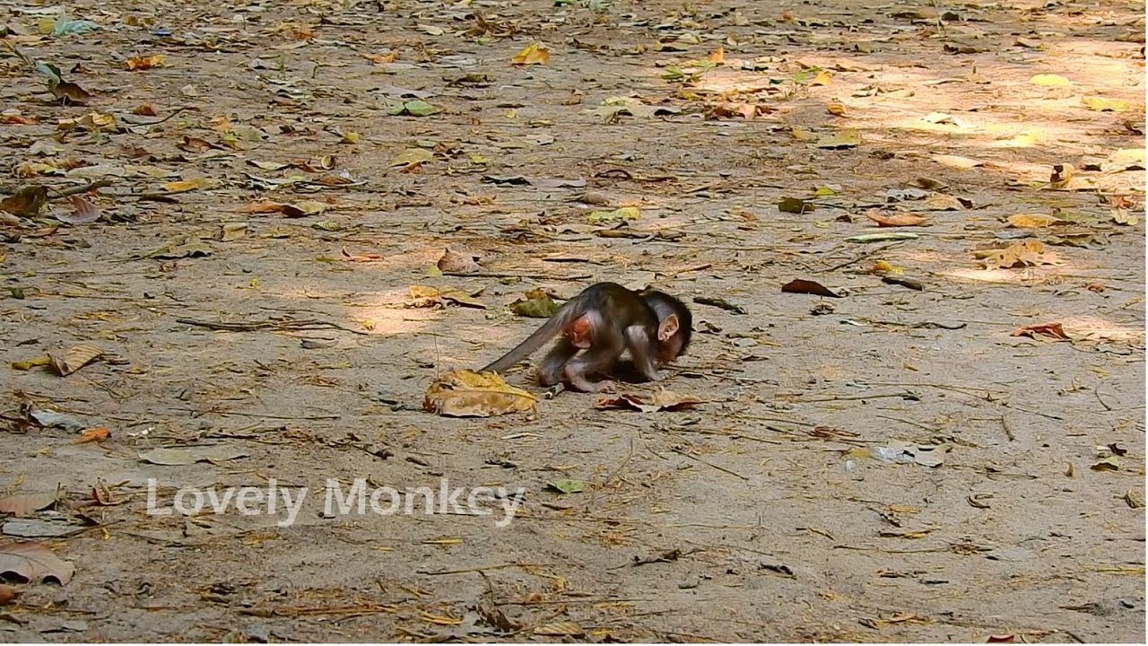 Not Only Me! Many Viewer Want to See Baby Alba Get Well and Grow Up From Mom Anna Take Best Care.