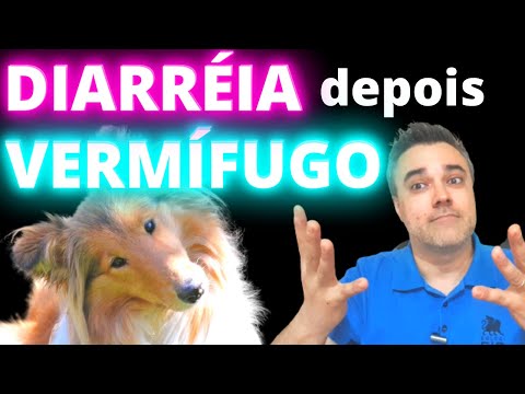 Vídeo: Diarréia Em Furões