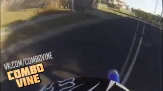 Combo Vine #587