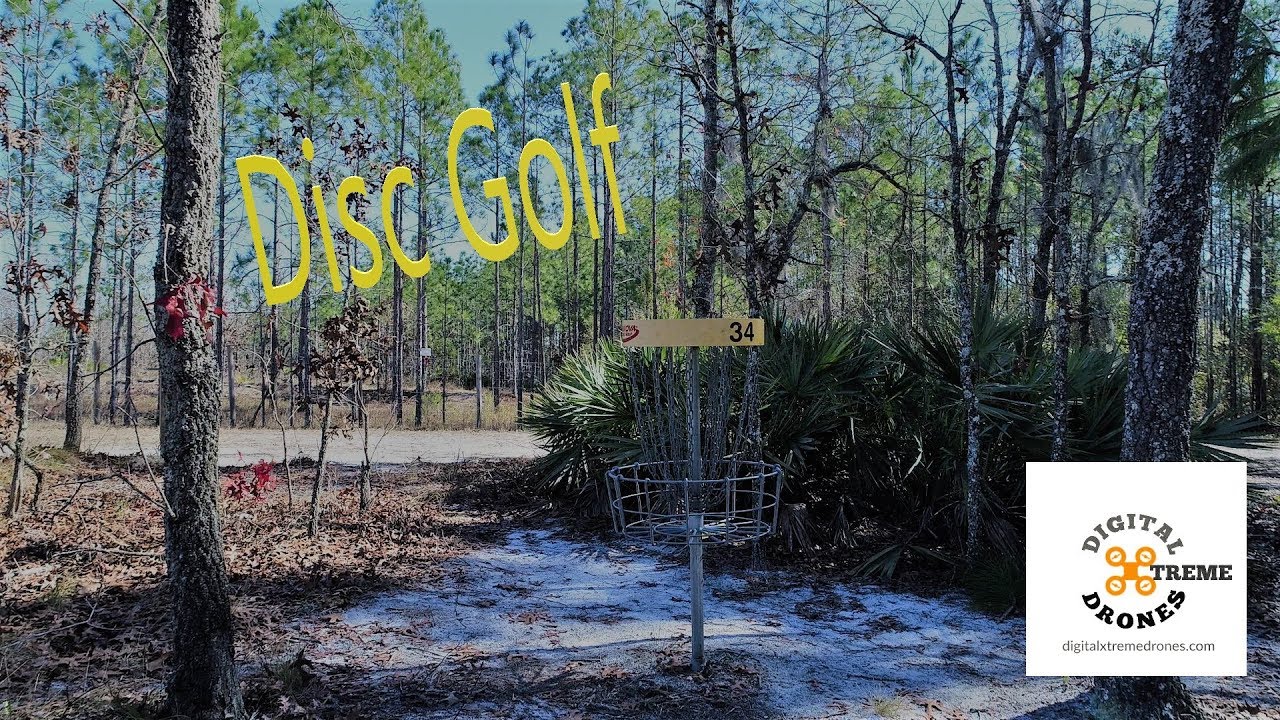 Disc Golf Demo