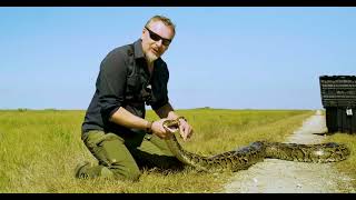 BTS with THE WILD with Chris Morgan - Invasion of the Burmese Pythons Net Worth