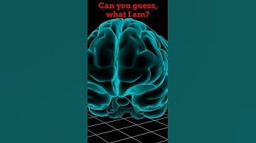 Brain Teaser With Answer (Part 1) #shorts
