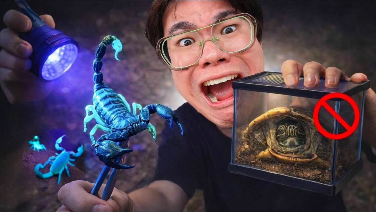 จับแมงป่องเรืองแสง…แต่ดันเจอสัตว์ ใครเลี้ยงโดนปรับ 1 ล้าน!!