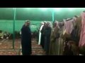 من الموروث الشعبي لقبيلة السمره بالقاع بتاريخ 1435 1 18هـ 